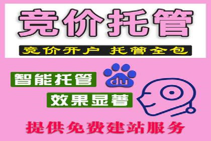 知名SEM运营公司实战案例解析